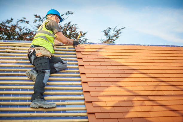 Best Skylight Installation and Repair  in Pink, OK